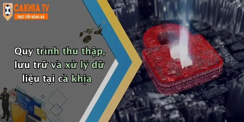 Quy trình thu thập, lưu trữ và xử lý dữ liệu tại cà khịa
