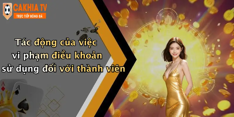 Tác động của việc vi phạm điều khoản sử dụng đối với thành viên